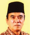 <strong>Siswono Yudo Husodo</strong>