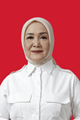 Ir. DWITA RIA GUNADI